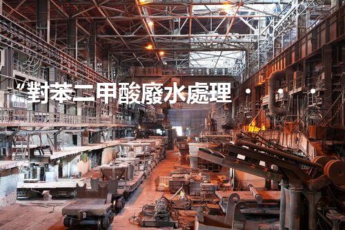 “對苯二甲酸廢水處理，綠色創(chuàng)新引領環(huán)保新篇章”